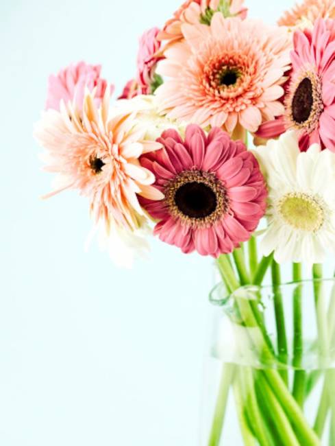 livraison de fleurs rose tendance lyon marie pétale