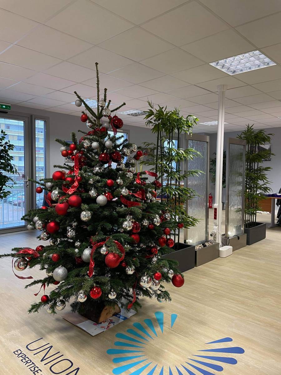 Organiser un arbre de Noël d’entreprise à Lyon : les étapes à respecter pour réussir votre événement festif