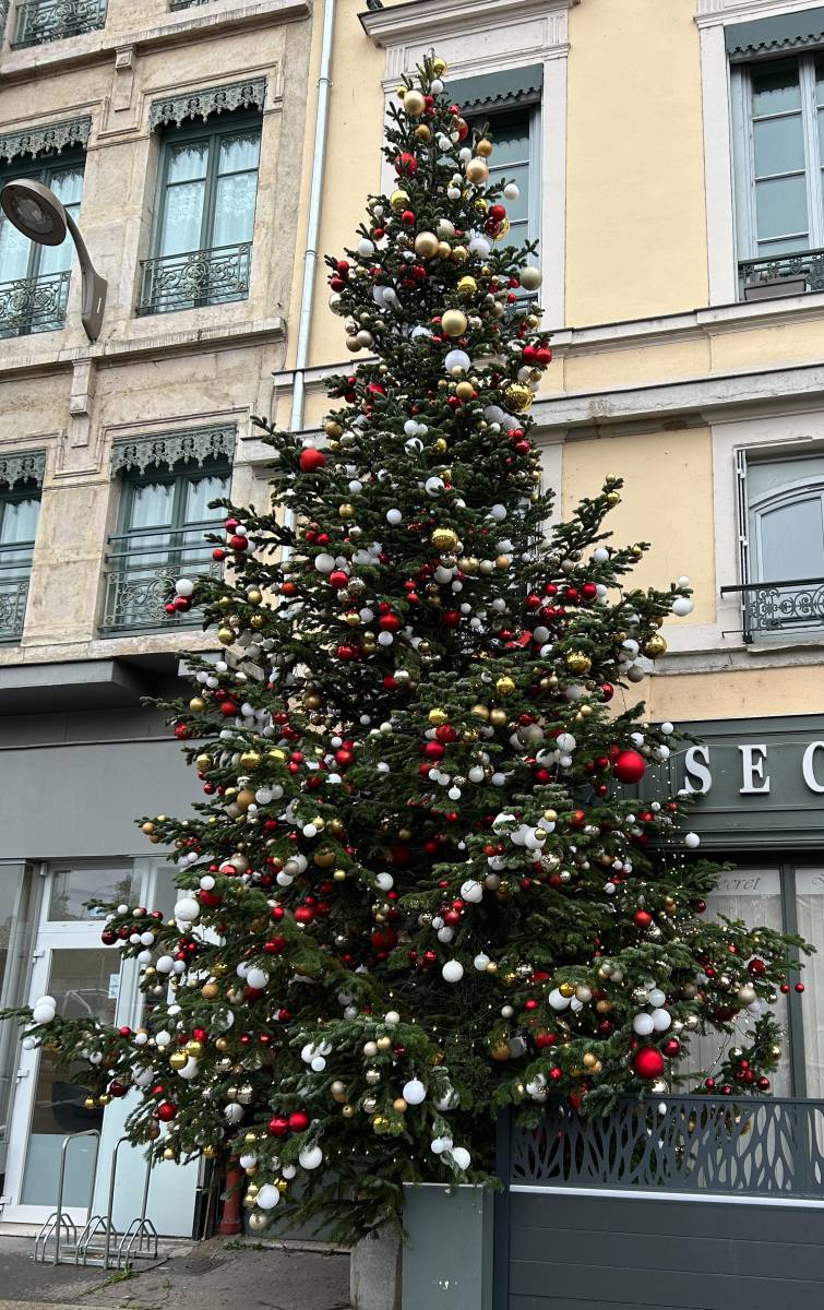 Commande de sapin de Noël extérieur pour entreprises : un décor visible, résistant et parfaitement sécurisé