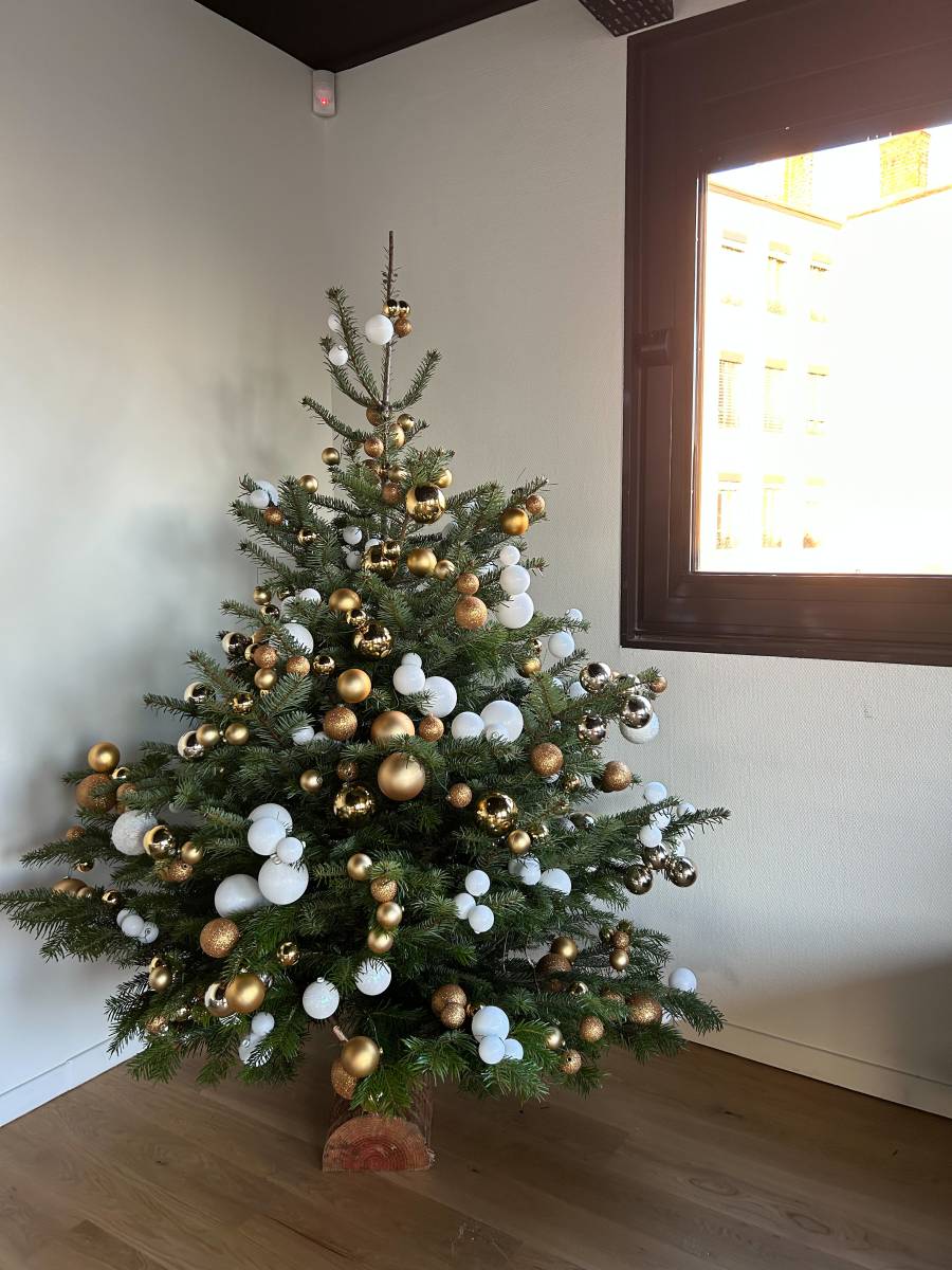 Installation de sapin de Noël dans les bureaux : apporter chaleur et cohésion au cœur de votre espace de travail