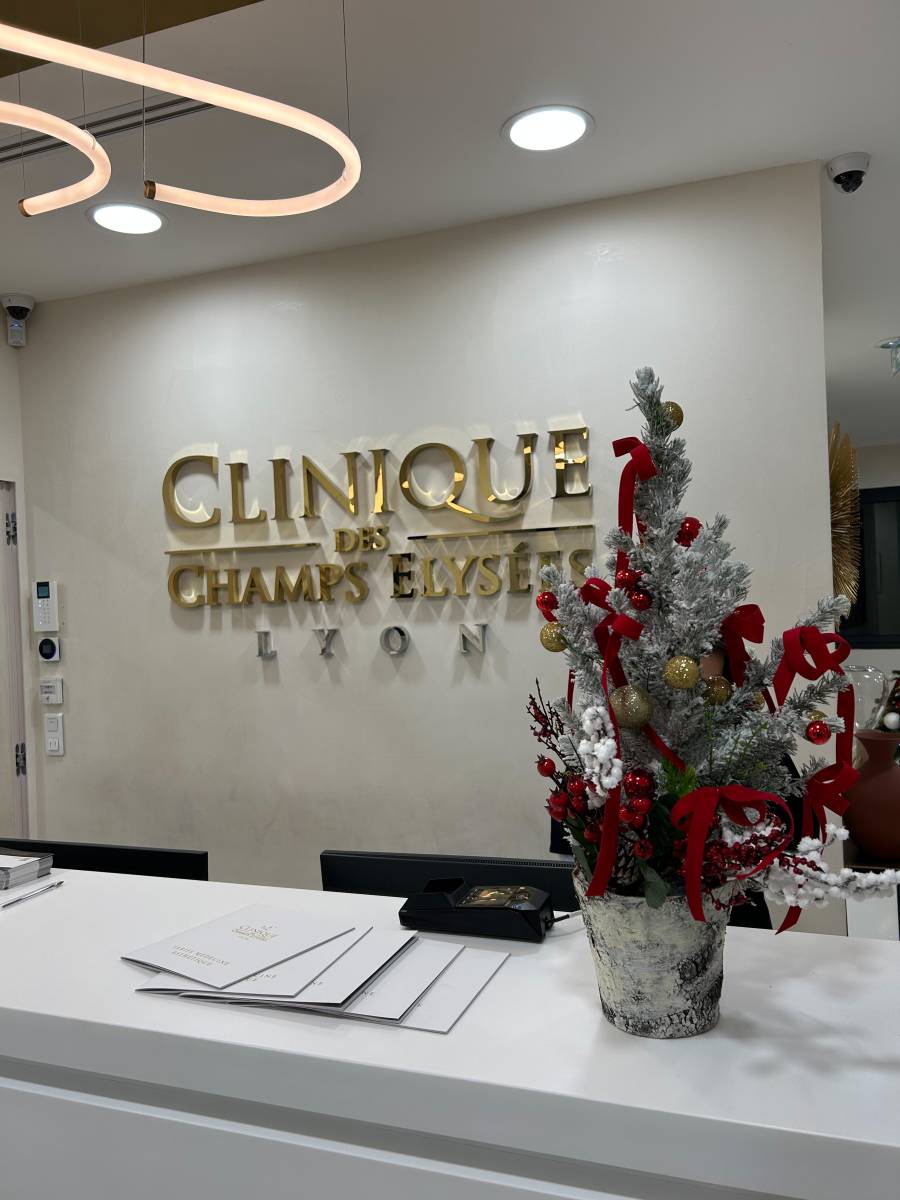 Création d’ambiances florales de Noël : compositions, décorations et mise en scène végétale pour votre commerce ou entreprise