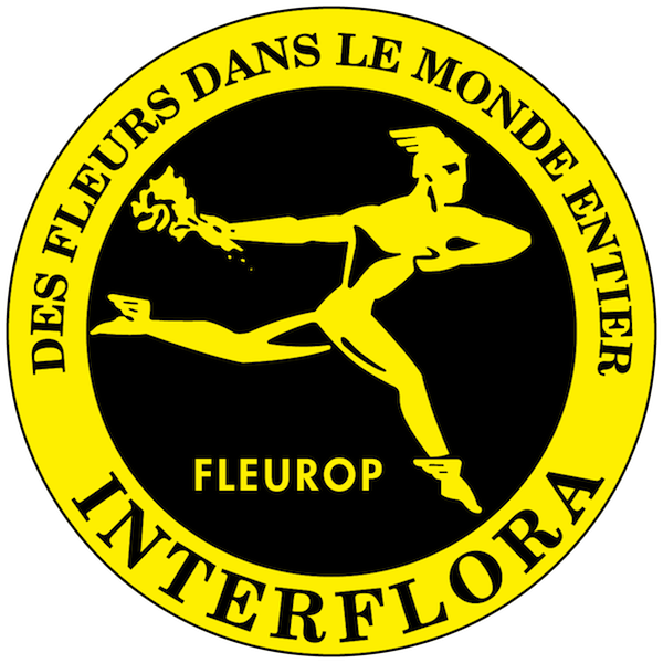 interflora livraison avec Marie pétale Lyon