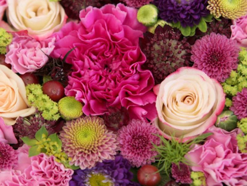 Fleurs de saison coloré en magasin marie pétale lyon