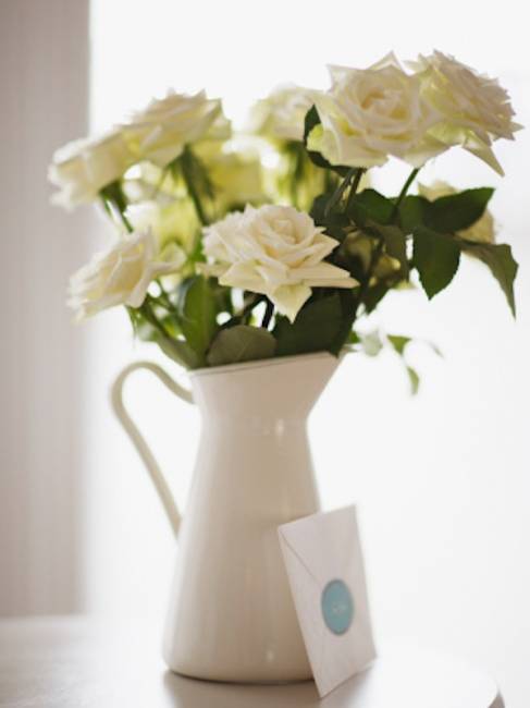 A CHAQUE SAISON SA FLEUR : HIVER