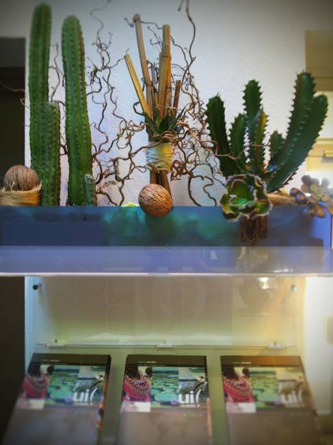 PLANTES POUR ENTREPRISE : Naturelles ou Artificielles