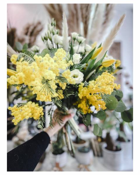 bouquet mimosa livraison Ecully