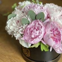 Nos prestations sur le secteur de Saint-Cyr-au-Mont-d'Or