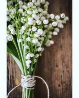 Nos prestations sur le secteur de Dardilly 69570