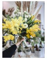 Nos prestations sur le secteur de Saint-Cyr-au-Mont-d'Or