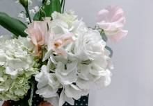 Nos prestations sur le secteur de Saint-Didier-au-Mont-d'Or